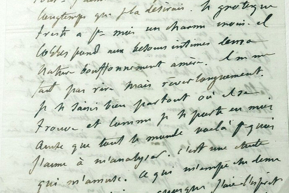Ausschnitt aus einem Brief von Gustave Flaubert an Louise Colet