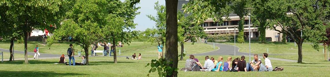 Bild einer Wiese am Campus Hubland